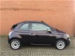 Fiat 500 C - TwinAir Turbo 80pk Cabrio Easy Airco, Parkeersens., LM-velgen, 3 - 1 - Thumbnail