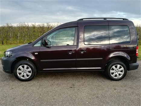 Volkswagen Caddy - 1.2 TSI Roncalli Trendline 7p. | Navi | PDC - 1