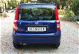 Fiat Panda - 1.2 Edizione Cool - 1 - Thumbnail