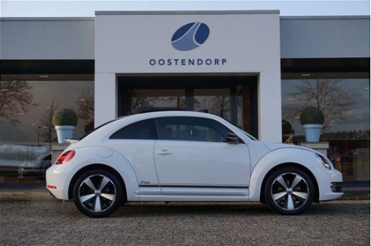 Volkswagen Beetle - 1.2TSI/105pk Design Fender DSG Automaat|2015|Navi|Xenon+LED|Panoramadak|18