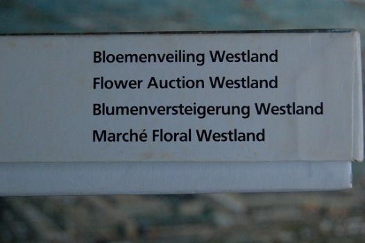 Puzzel Bloemenveiling Westland - 5