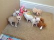 Chihuahua-puppy klaar voor mooie familie - 1 - Thumbnail