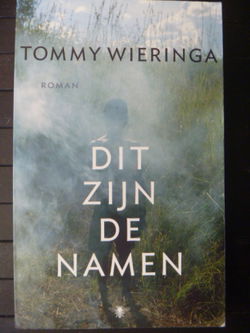 Tommy Wieringa - Dit zijn de namen