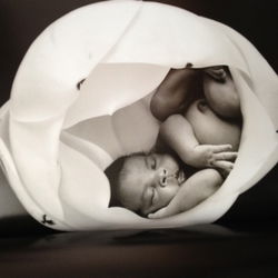 Anne Geddes en Celine Dion - Miracle + DVD