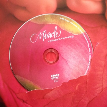 Anne Geddes en Celine Dion - Miracle + DVD - Afbeelding 5