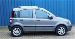 Fiat Panda - 1.2 Edizione Cool 