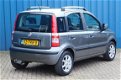 Fiat Panda - 1.2 Edizione Cool 