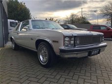 Chevrolet Nova - CONCOURS V8 cabriolet