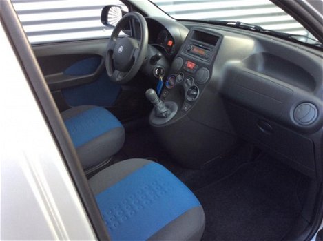 Fiat Panda - 1.2 Edizione Cool - 1