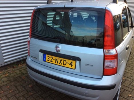 Fiat Panda - 1.2 Edizione Cool - 1