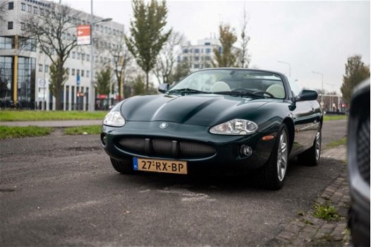 Jaguar XK8 - XK8 - 1