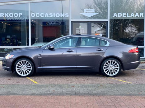 Jaguar XF - 3.0 V6 Premium Luxury | Bi-Xenon | Leder - 1