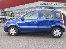 Fiat Panda - 1.2i Edizione 5 deurs Dist riem nieuw, (occasion)