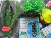 SET AQUARIUM ARTIKELEN - 5 STUKS 5 EURO - 1 - Thumbnail