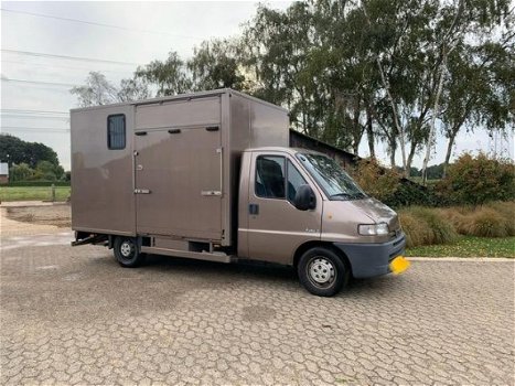 Peugeot Boxer - 350 L TDdi 2.5 Paardenwagen, nieuwe opbouw, 2 paards - 1