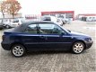 Volkswagen Golf Cabriolet - 1.9 TDI Trendline LEER - 1 - Thumbnail