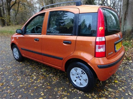 Fiat Panda - 1.2 Dynamic - 1