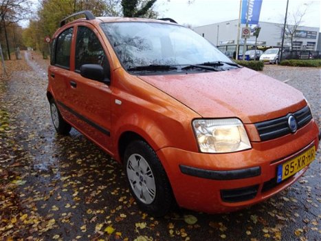 Fiat Panda - 1.2 Dynamic - 1