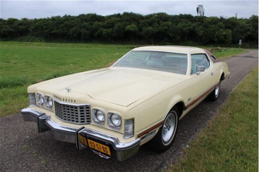 Ford Thunderbird - Big bird 7.5 V8 Leer, Automaat, - 1