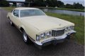 Ford Thunderbird - Big bird 7.5 V8 Leer, Automaat, - 1 - Thumbnail