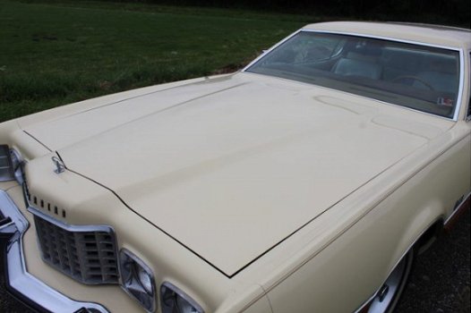 Ford Thunderbird - Big bird 7.5 V8 Leer, Automaat, - 1