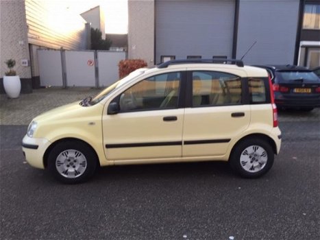 Fiat Panda - 1.2 Dynamic -stuurbekr.-Nieuwe APK-km 93790 nap - 1