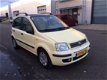 Fiat Panda - 1.2 Dynamic -stuurbekr.-Nieuwe APK-km 93790 nap - 1 - Thumbnail