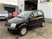 Fiat Panda - 1.2 Edizione Cool / Airco / Elektr ramen / APK - 1 - Thumbnail