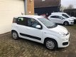 Fiat Panda - 0.9 TwinAir Edizione Cool - 1 - Thumbnail