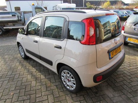 Fiat Panda - PANDA - 1