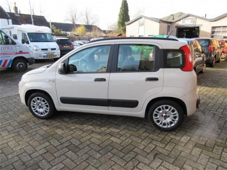 Fiat Panda - PANDA - 1