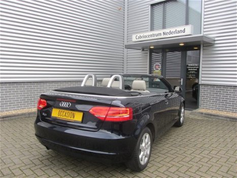 Audi A3 Cabriolet - 1.6 Attraction Leder Vienna - 1