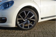 Volkswagen Beetle - 1.2 TSI Design PANO NAVI CLIMATE PDC CRUISE LMV