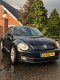 Volkswagen Beetle - 1.4 TSI Sport BJ 2012 STUURBEDIENING - CLIMATE CONTROL - SPORTVELGEN - AUX - 1 - Thumbnail