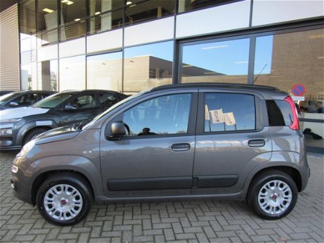 Fiat Panda - 1.2 69PK EASY - 1