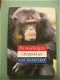 Otto Adang - De machtigste chimpansee van Nederland - 0 - Thumbnail
