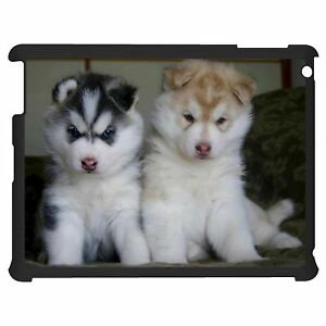 Mooie Siberische Husky pups voor adoptie. - 1