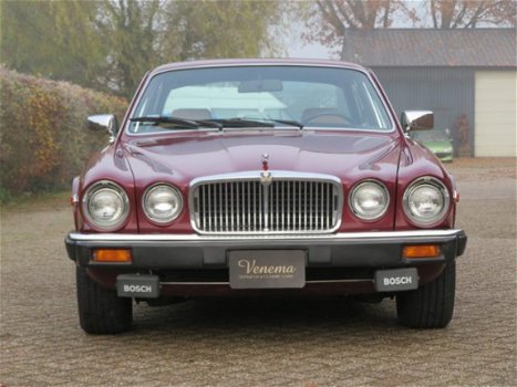 Jaguar XJ - 4.2 - 1