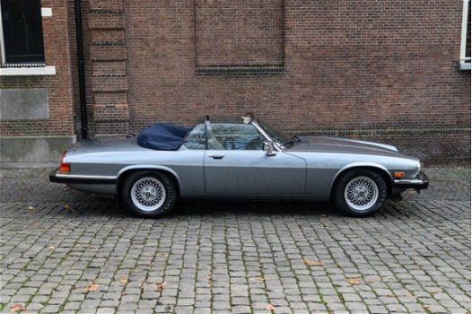 Jaguar XJS - XJ-SC 5.3 V12 - 1