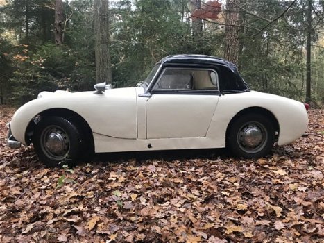 Austin Sprite - 1958 Austin Healey Sprite Frogeye – origineel Nederlandse MK 1 - 1