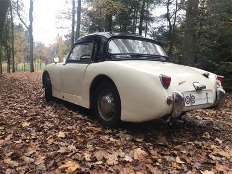 Austin Sprite - 1958 Austin Healey Sprite Frogeye – origineel Nederlandse MK 1 - 1