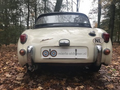 Austin Sprite - 1958 Austin Healey Sprite Frogeye – origineel Nederlandse MK 1 - 1