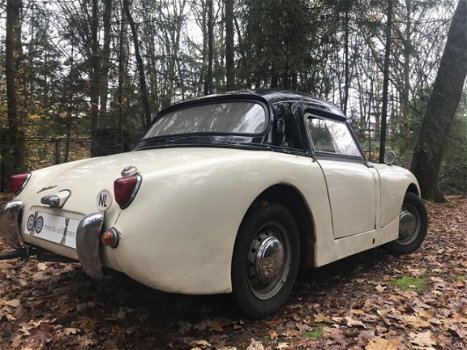 Austin Sprite - 1958 Austin Healey Sprite Frogeye – origineel Nederlandse MK 1 - 1