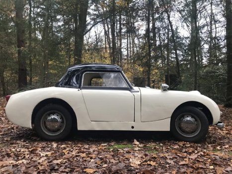 Austin Sprite - 1958 Austin Healey Sprite Frogeye – origineel Nederlandse MK 1 - 1