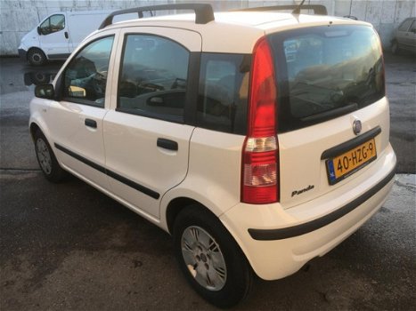 Fiat Panda - 1.2 Edizione Cool - 1