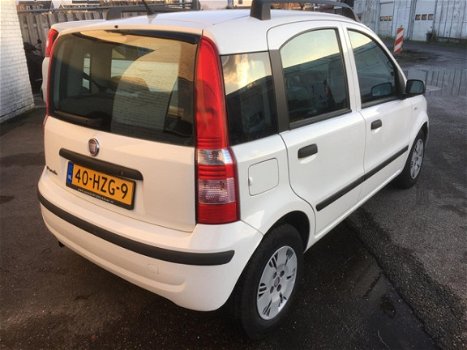 Fiat Panda - 1.2 Edizione Cool - 1