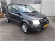 Fiat Panda - 1.2 Dynamic - 1 - Thumbnail