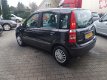 Fiat Panda - 1.2 Dynamic - 1 - Thumbnail