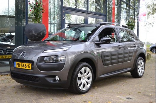 Citroën C4 Cactus - 1.2 PureTech Business | Navi | ECC | PDC | Cruise Control | Electr. ramen - 1