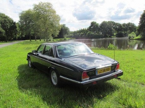 Jaguar Sovereign - 5.3 V12 HE Sovereign keurige auto - 1